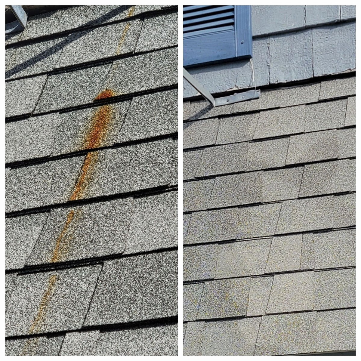 House Washing Before and After Results
